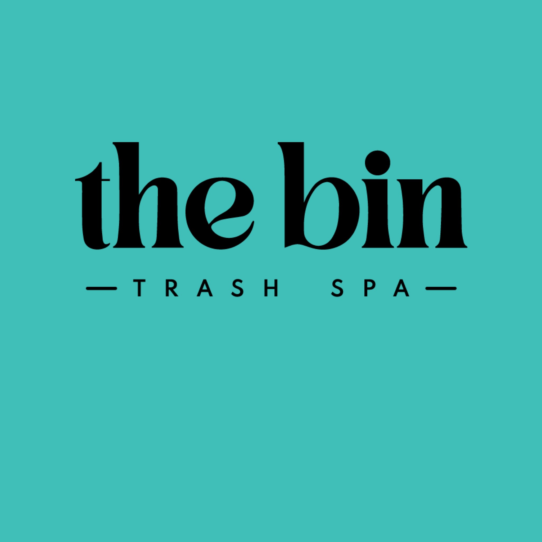 the bin trash spa reno sparks trash can cleaning logo